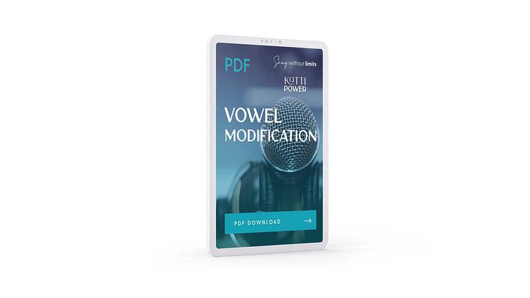 Vowel Modification Cheat Sheet